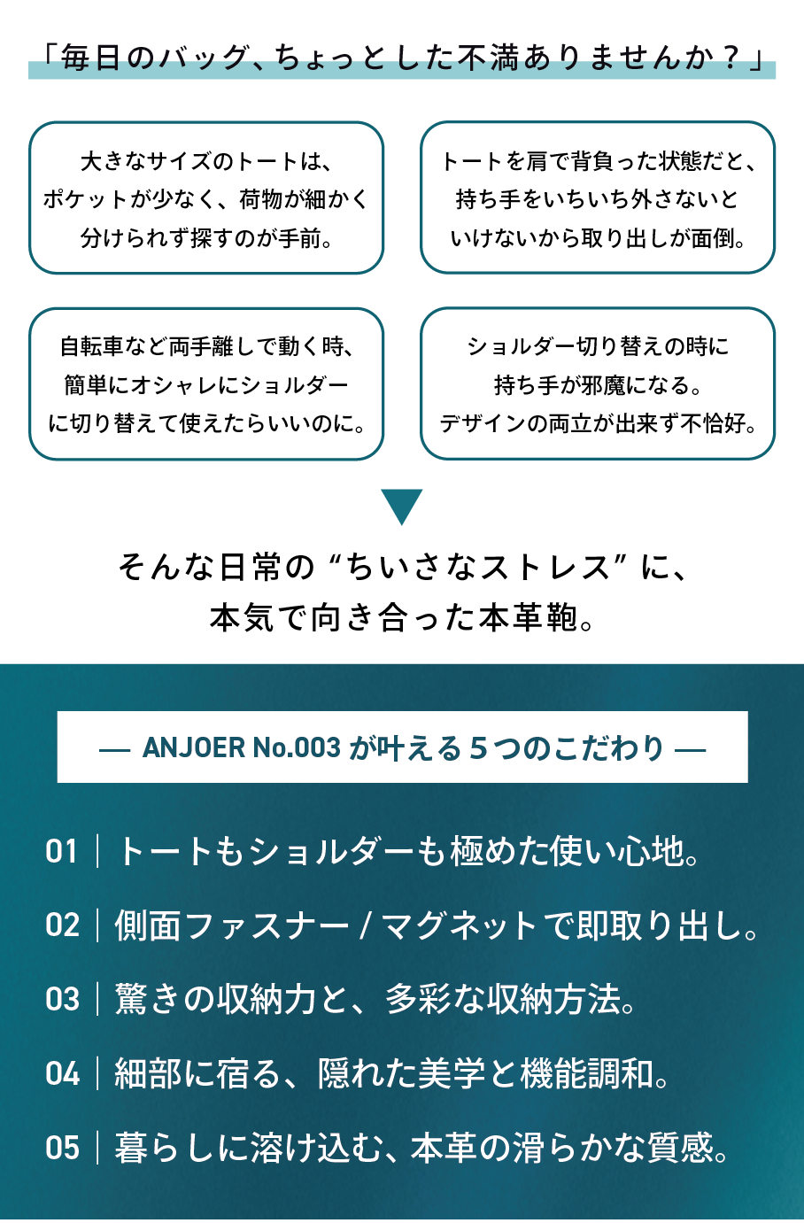anjoer-makuake